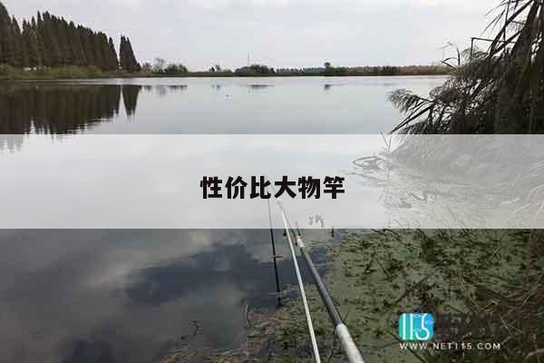 性价比大物竿