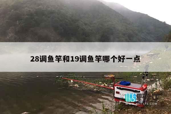 28调鱼竿和19调鱼竿哪个好一点