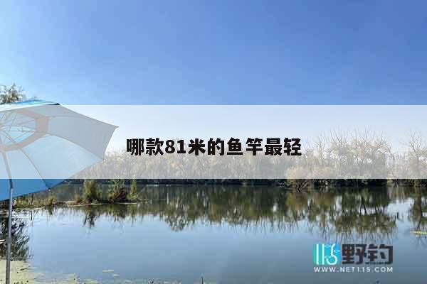 哪款81米的鱼竿最轻