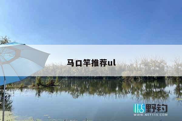 马口竿推荐ul