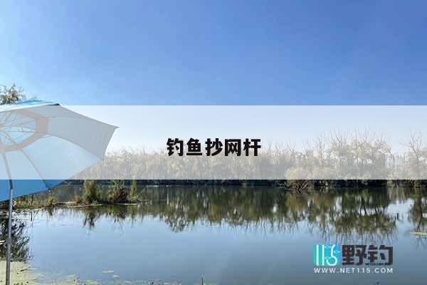 钓鱼抄网杆