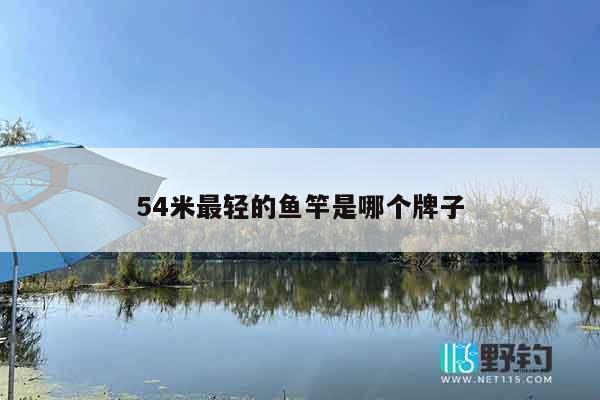 54米最轻的鱼竿是哪个牌子