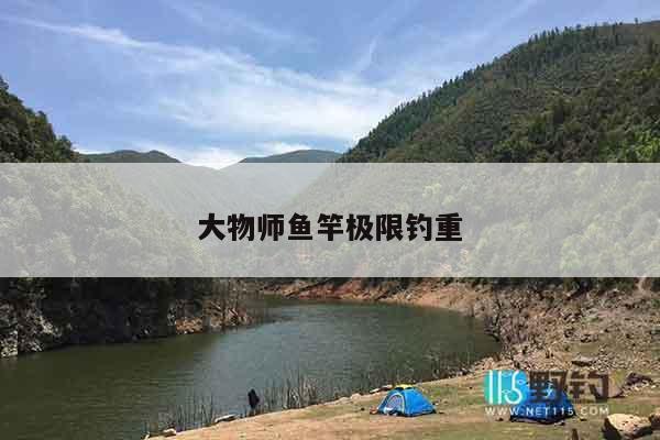大物师鱼竿极限钓重