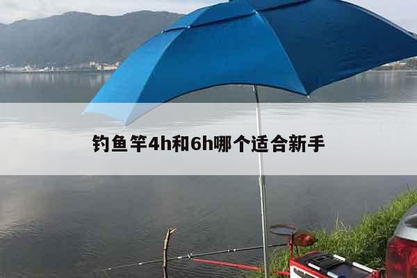 钓鱼竿4h和6h哪个适合新手