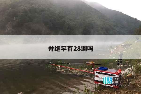 并继竿有28调吗