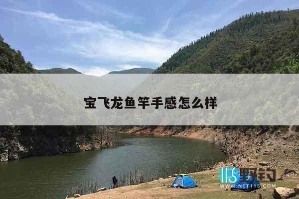 宝飞龙鱼竿手感怎么样