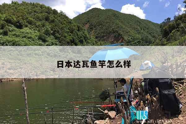 日本达瓦鱼竿怎么样