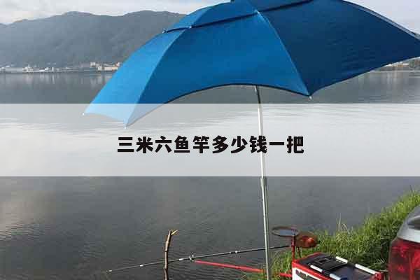 三米六鱼竿多少钱一把