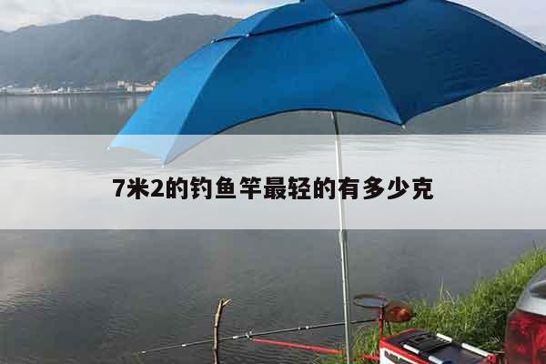 7米2的钓鱼竿最轻的有多少克