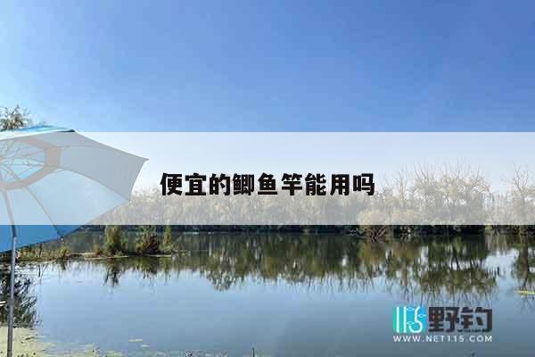 便宜的鲫鱼竿能用吗