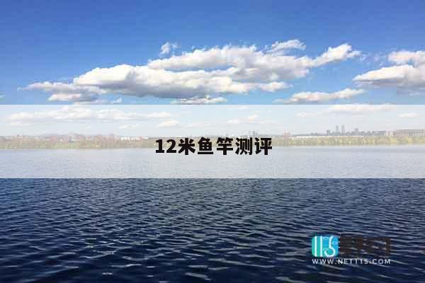 12米鱼竿测评
