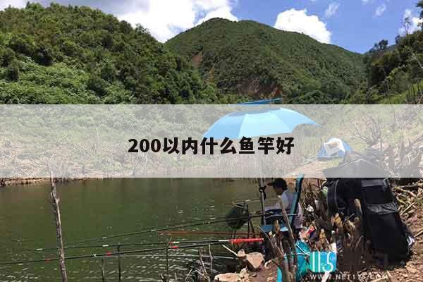 200以内什么鱼竿好