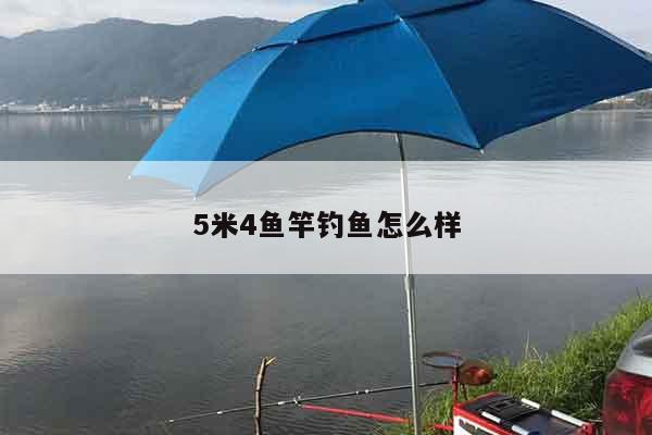 5米4鱼竿钓鱼怎么样