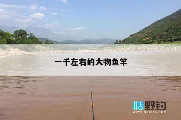 一千左右的大物鱼竿