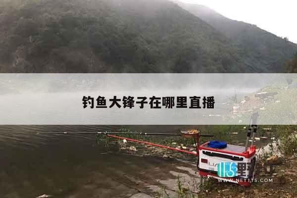 钓鱼大锋子在哪里直播