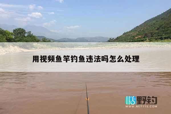 用视频鱼竿钓鱼违法吗怎么处理