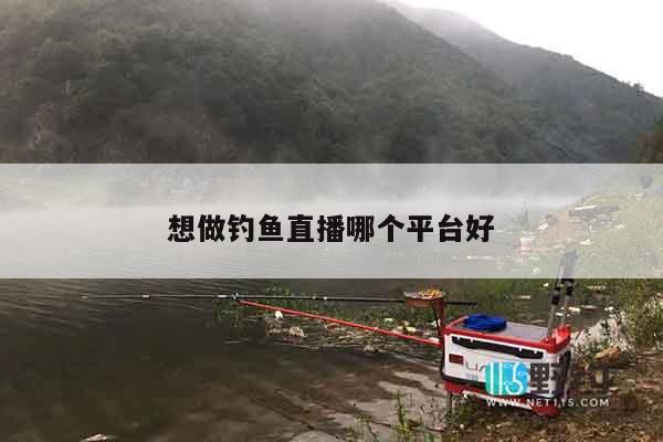 想做钓鱼直播哪个平台好
