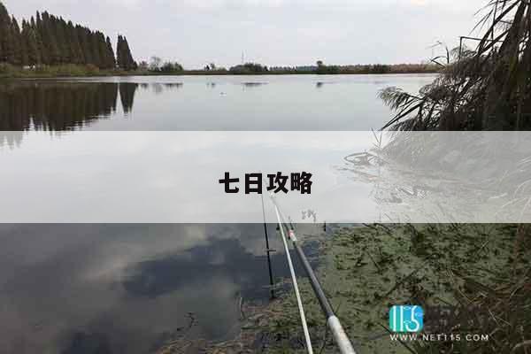 七日攻略