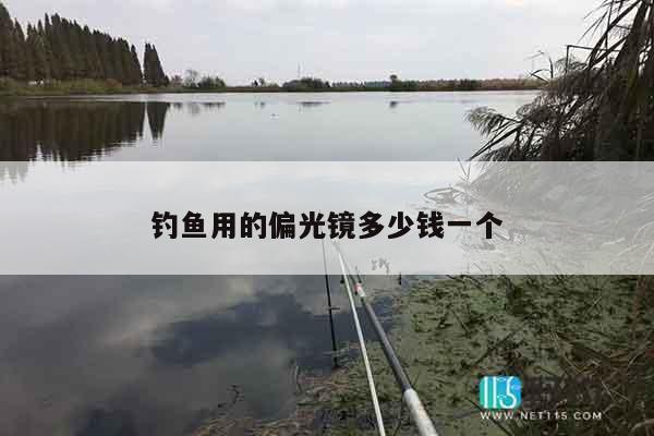 钓鱼用的偏光镜多少钱一个