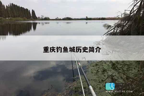 重庆钓鱼城历史简介