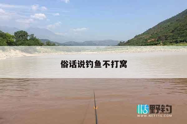 俗话说钓鱼不打窝
