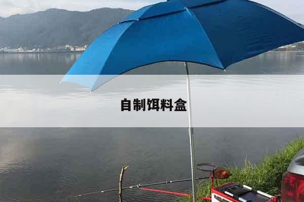 自制饵料盒