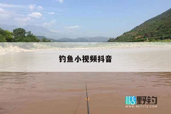 钓鱼小视频抖音