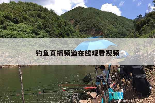 钓鱼直播频道在线观看视频