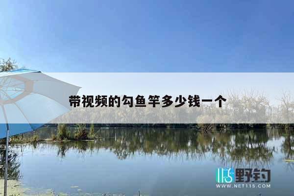 带视频的勾鱼竿多少钱一个