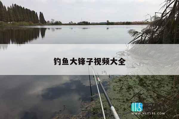 钓鱼大锋子视频大全