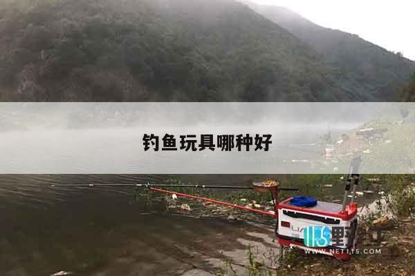 钓鱼玩具哪种好
