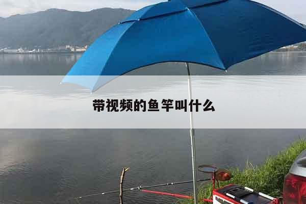 带视频的鱼竿叫什么