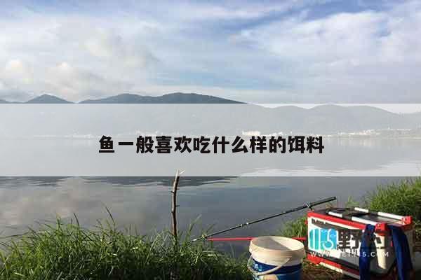 鱼一般喜欢吃什么样的饵料