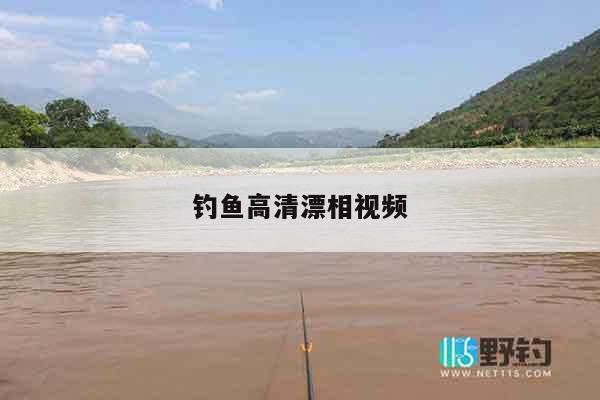 钓鱼高清漂相视频