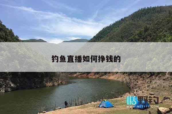 钓鱼直播如何挣钱的
