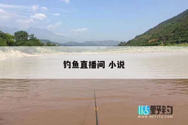 钓鱼直播间 小说