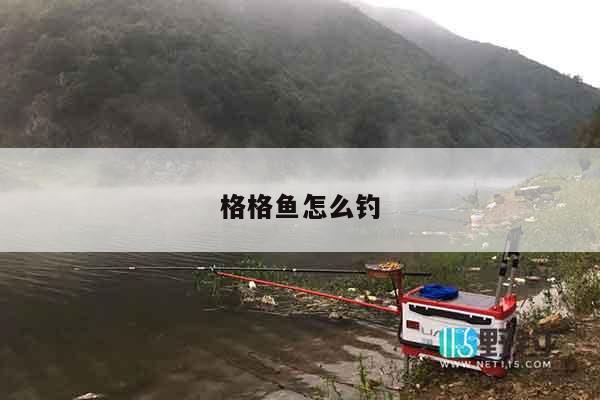 格格鱼怎么钓
