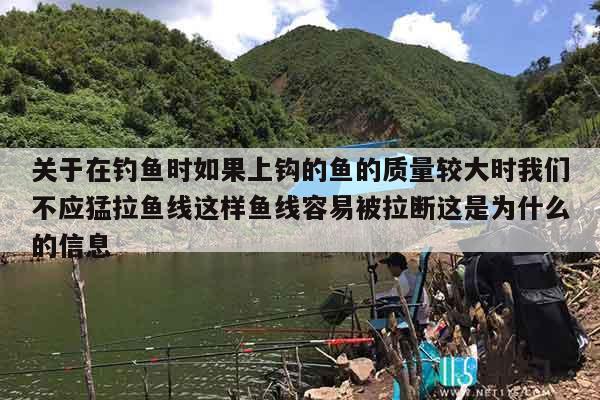 关于在钓鱼时如果上钩的鱼的质量较大时我们不应猛拉鱼线这样鱼线容易被拉断这是为什么的信息