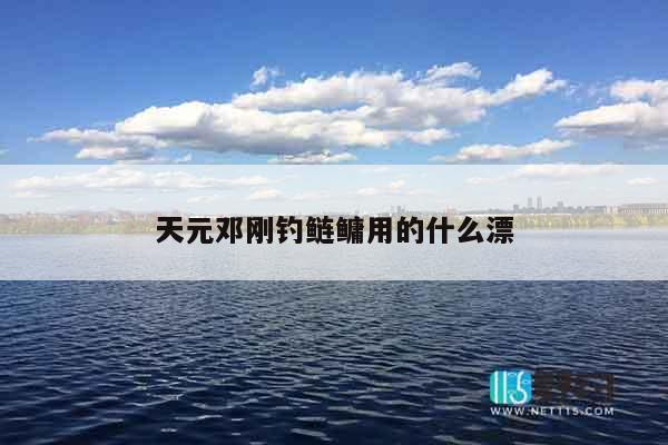 天元邓刚钓鲢鳙用的什么漂