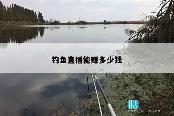 钓鱼直播能赚多少钱