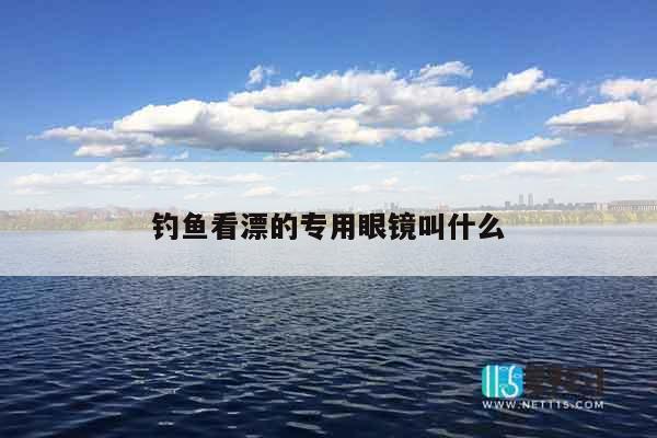 钓鱼看漂的专用眼镜叫什么