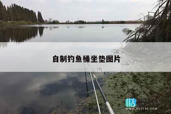 自制钓鱼桶坐垫图片