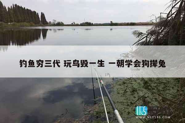 钓鱼穷三代 玩鸟毁一生 一朝学会狗撵兔
