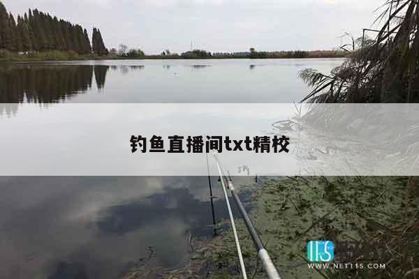 钓鱼直播间txt精校