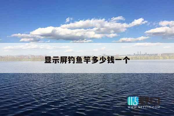 显示屏钓鱼竿多少钱一个