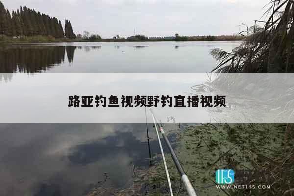 路亚钓鱼视频野钓直播视频