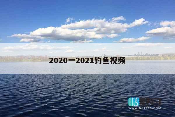 2020一2021钓鱼视频