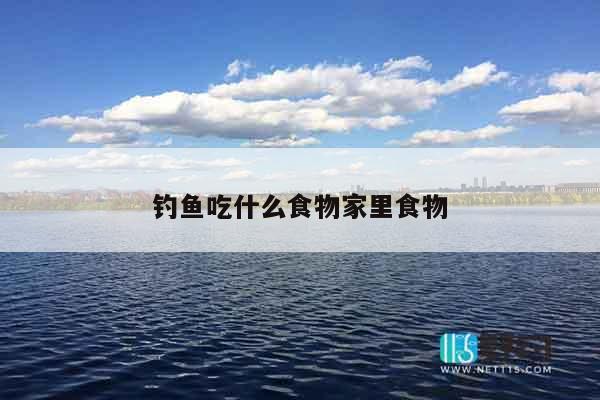 钓鱼吃什么食物家里食物