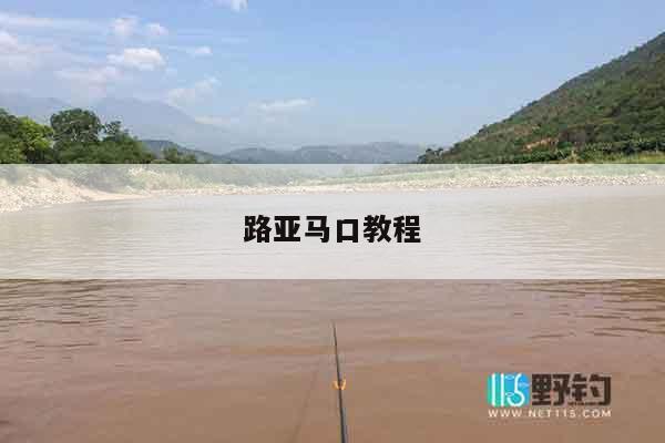 路亚马口教程