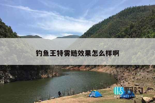 钓鱼王特雾鲢效果怎么样啊
